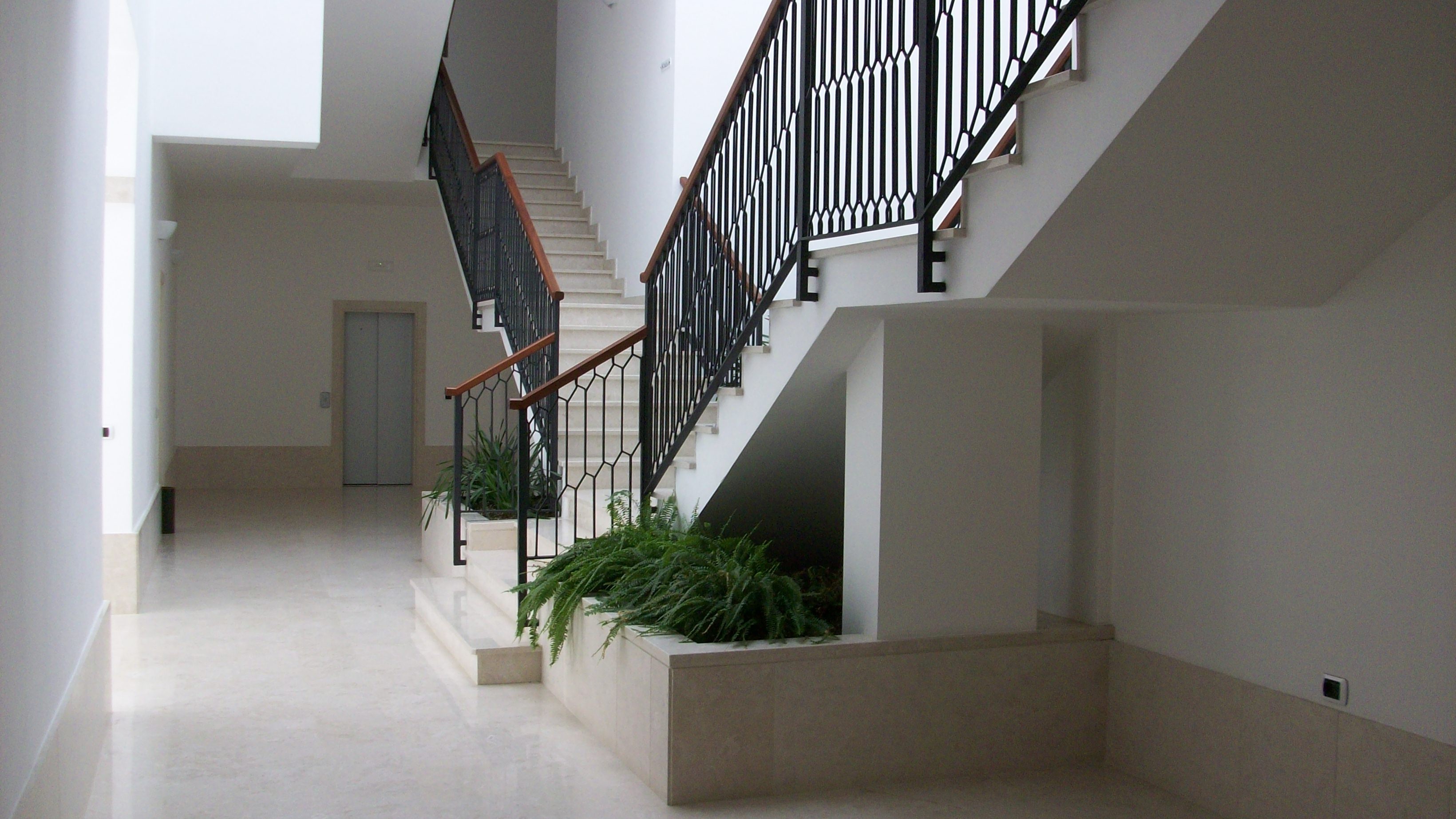 Ingresso