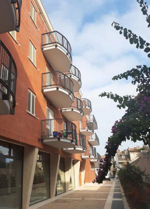 Vista 2