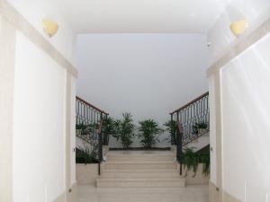 Vista Ingresso